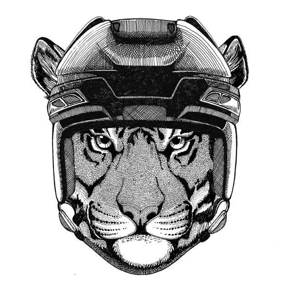 Wild tiger Hockey image Wild animal wearing hockey helmet Sport animal Winter sport Hockey sport — Stock Photo, Image