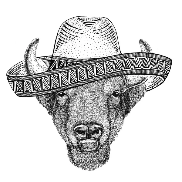 Buffalo, bison, boeuf, taureau Animal sauvage portant sombrero Mexique Fiesta Illustration de fête mexicaine Wild west — Photo
