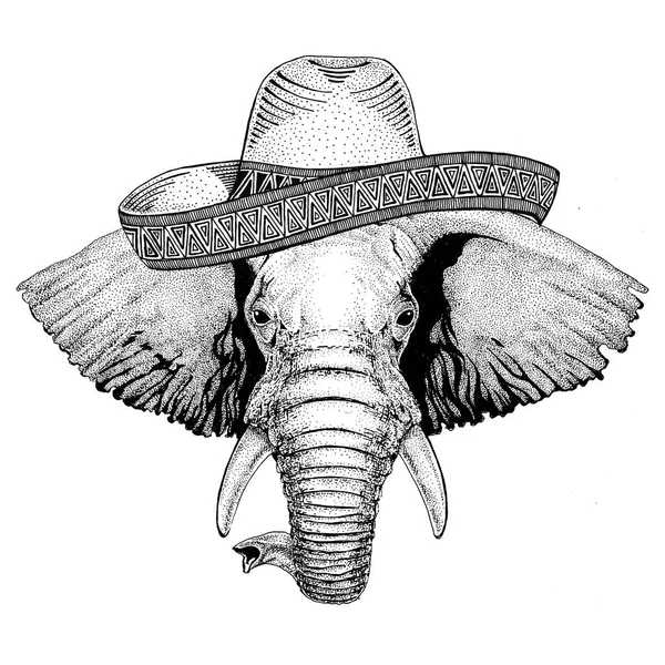 Elefante africano ou indiano Animal selvagem vestindo sombrero México Fiesta ilustração festa mexicana Oeste selvagem — Fotografia de Stock