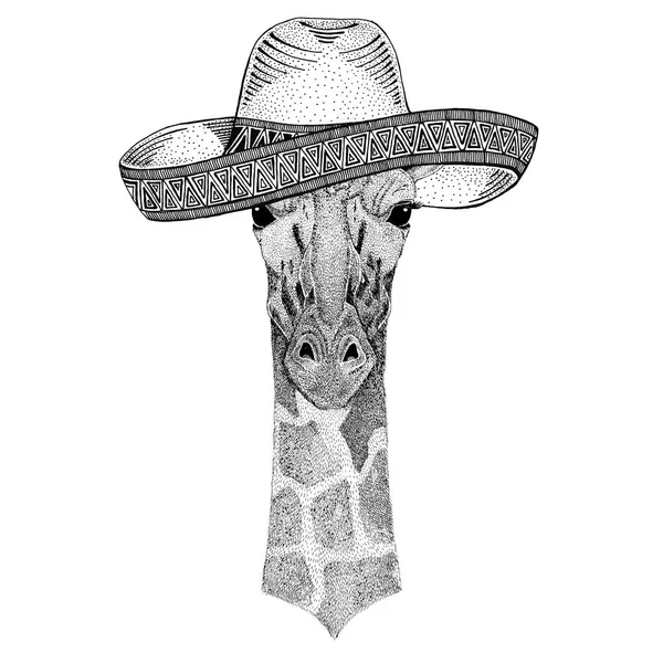 Camelopard, 기린 야생 동물 입고 솜브레로 멕시코 축제 멕시코 파티 그림 와일드 웨스트 — 스톡 사진