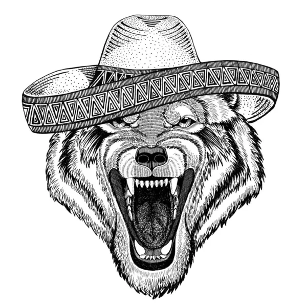 Wolf Dog Animali selvatici Animali selvatici indossando sombrero Messico Fiesta Messicano partito illustrazione Selvaggio west — Foto Stock
