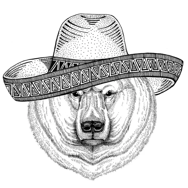 Polar bear vadon élő állatok viselése sombrero mexikói Fiesta mexikói fél illusztráció Wild west — Stock Fotó