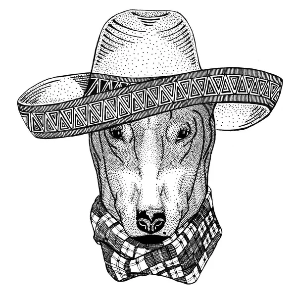 犬 t シャツ デザイン野生動物の身に着けているソンブレロのメキシコのフィエスタ メキシコ パーティー野生の西の図 — ストック写真