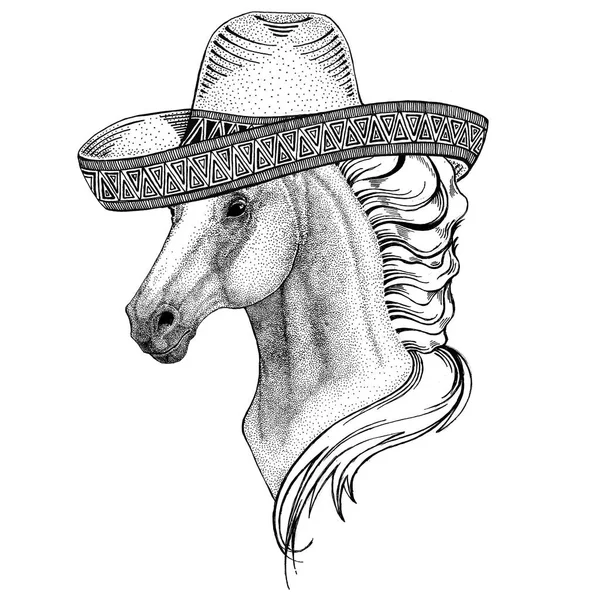 Caballo, hoss, caballero, corcel, courser Animal salvaje con sombrero México Fiesta Mexicana ilustración de la fiesta Wild west —  Fotos de Stock