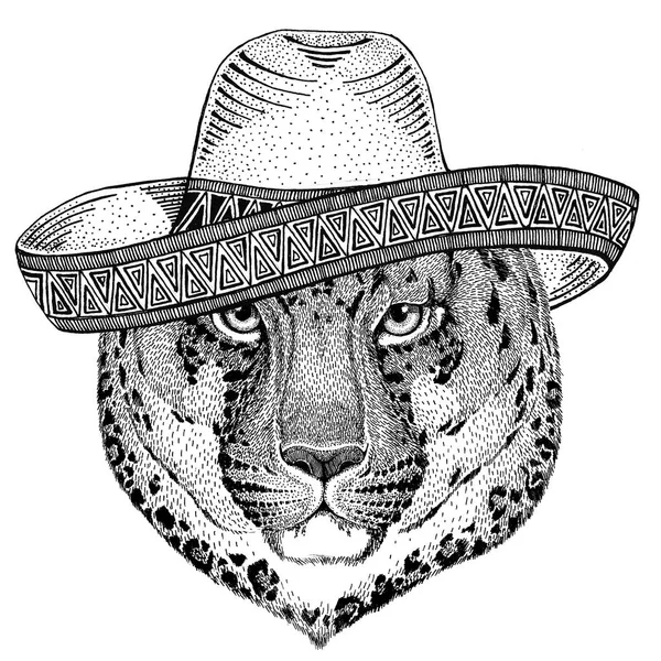 야생 고양이 레오 파 드 고양이-o-산 팬더 야생 동물 입고 솜브레로 멕시코 축제 멕시코 파티 그림 와일드 웨스트 — 스톡 사진
