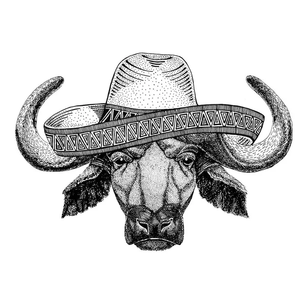 Buffle, taureau, boeuf Animaux sauvages portant sombrero Mexique Fiesta Illustration de fête mexicaine Wild west — Photo