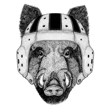 Aper, boar, hog, hog, wild boar Wild animal wearing rugby helmet Sport illustration clipart