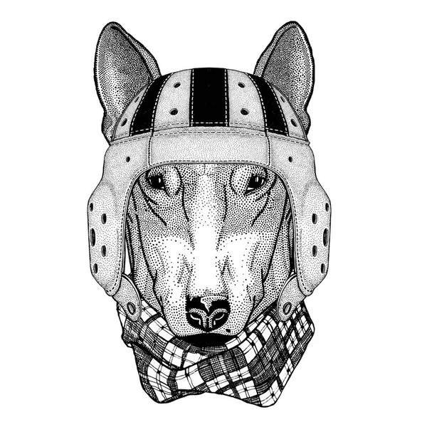 PERRO para el diseño de camisetas Animal salvaje con casco de rugby Ilustración deportiva —  Fotos de Stock