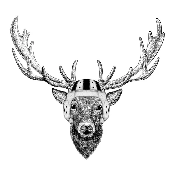 Divoké zvíře jelen nosí rugby helma Sport ilustrace — Stock fotografie