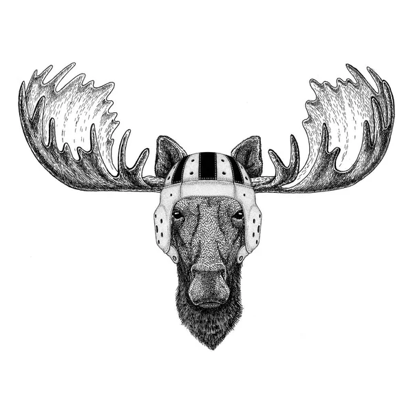 Moose, elk Wild animal wearing rugby helmet Sport illustration — Stock Photo, Image