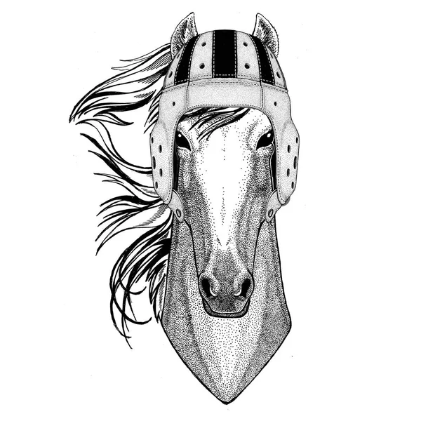 Cheval, hoss, chevalier, monture, coursier Casque de rugby animal sauvage Illustration de sport — Photo