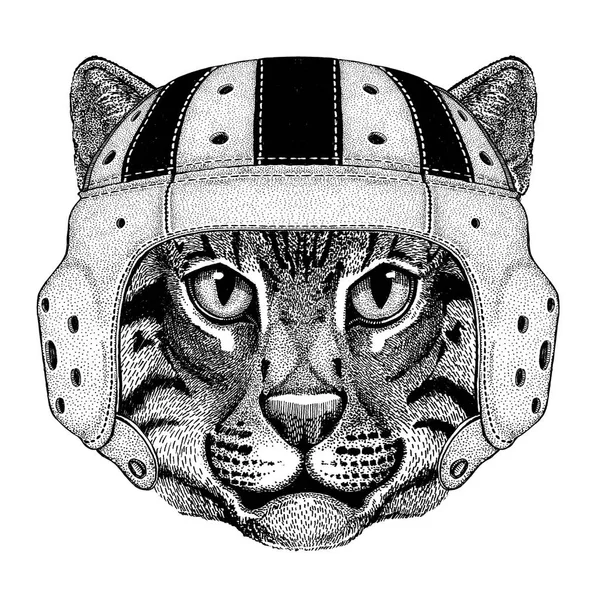 Gato salvaje Gato de pesca Animal salvaje con casco de rugby Ilustración deportiva — Foto de Stock