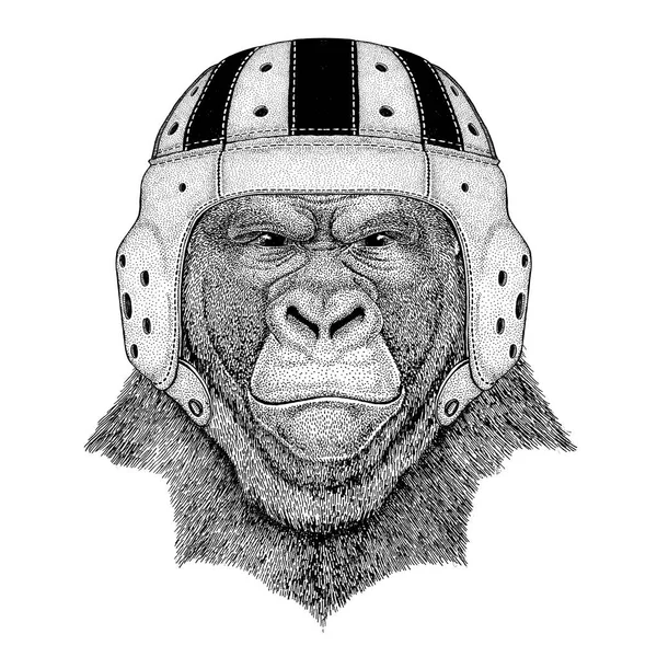 大猩猩、 猴子、 猿可怕动物野生动物穿橄榄球头盔运动图 — 图库照片