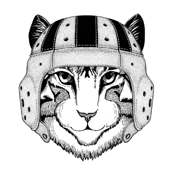 Image of domestic cat Wild animal wearing rugby helmet Sport illustration — Stock Photo, Image