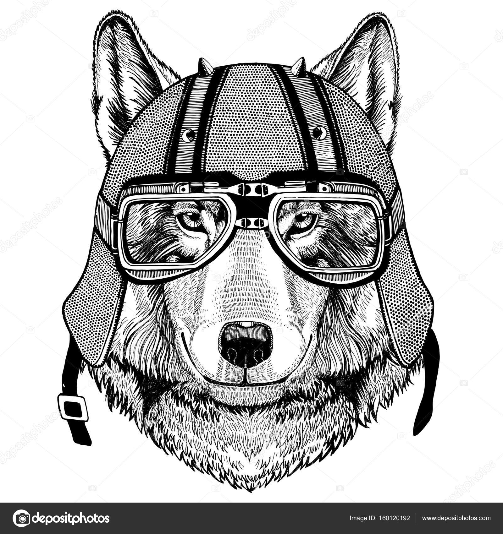 Chien Loup Portant Casque Motard Animal Avec Casque De Moto En Cuir