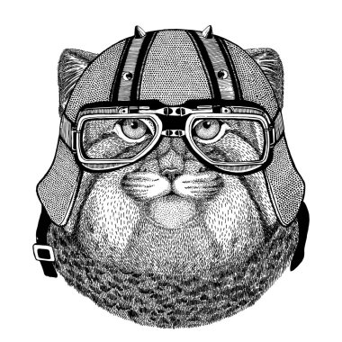 Vahşi kedi Manul giyen motorcu kask hayvan ile motosiklet deri kask Vintage kask bisikletçileri Aviator kask için