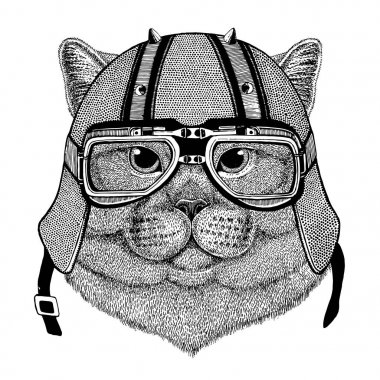 Brithish asil kedi erkek giyiyor motosiklet kask hayvan motosiklet deri kask Vintage kask bisikletçileri Aviator kask için