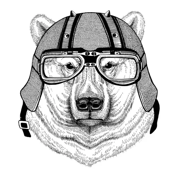 Белый медведь в байкерском шлеме Животное с мотоциклетным кожаным шлемом Винтажный шлем для байкеров Шлем авиатора — стоковое фото