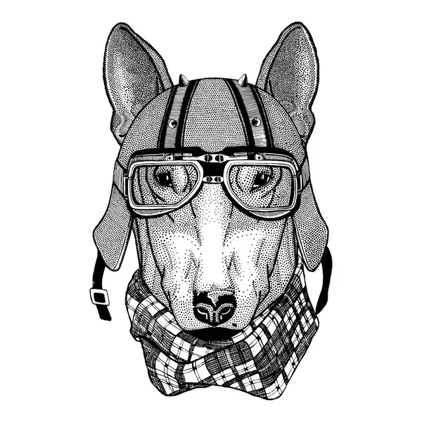 PERRO para el diseño de la camiseta con casco de ciclista Animal con casco de cuero de motocicleta Casco vintage para ciclistas Casco aviador — Foto de Stock