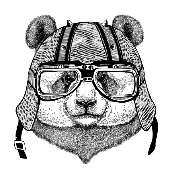 Панда медведь, бамбуковый медведь в байкерском шлеме Животное с мотоциклетным кожаным шлемом Винтажный шлем для байкеров Авиационный шлем — стоковое фото