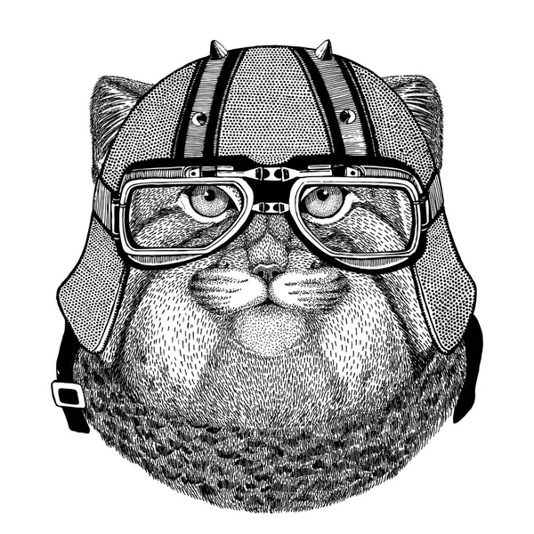Vahşi kedi Manul giyen motorcu kask hayvan ile motosiklet deri kask Vintage kask bisikletçileri Aviator kask için