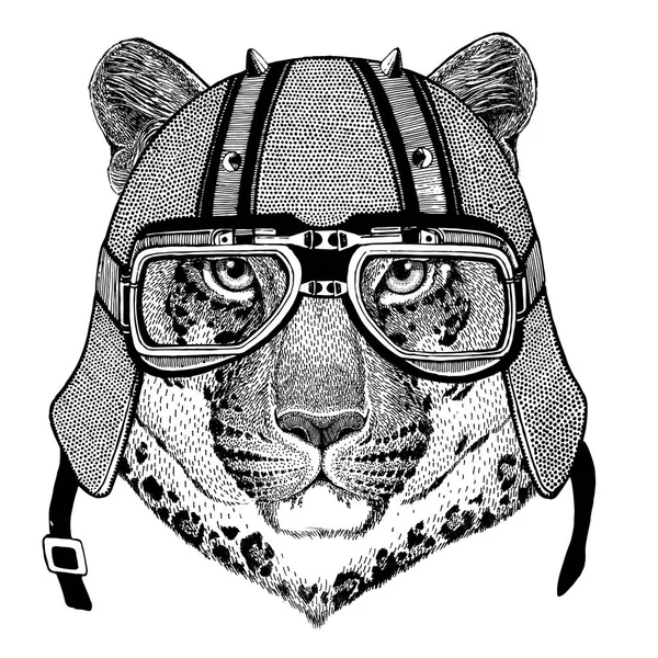 Wild cat Leopard Cat-o-mountain Pantera con casco de ciclista Animal con casco de cuero de moto Casco vintage para ciclistas Casco aviador —  Fotos de Stock