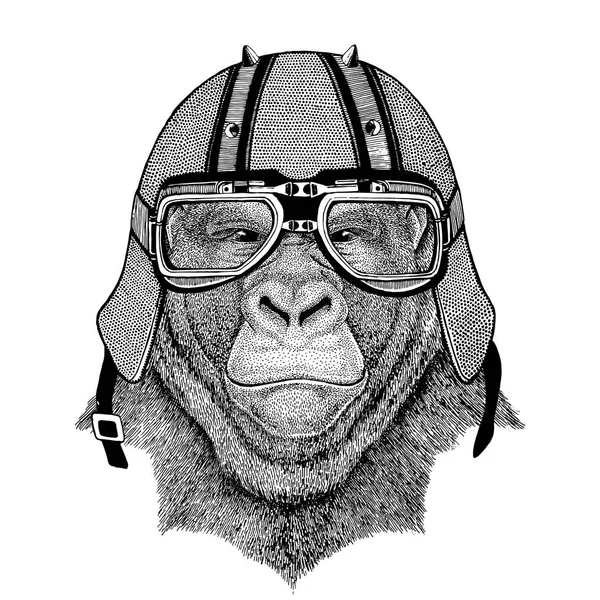 Gorila, macaco, macaco Animal assustador vestindo capacete de motociclista Animal com capacete de couro de motocicleta Capacete vintage para motociclistas Capacete aviador — Fotografia de Stock