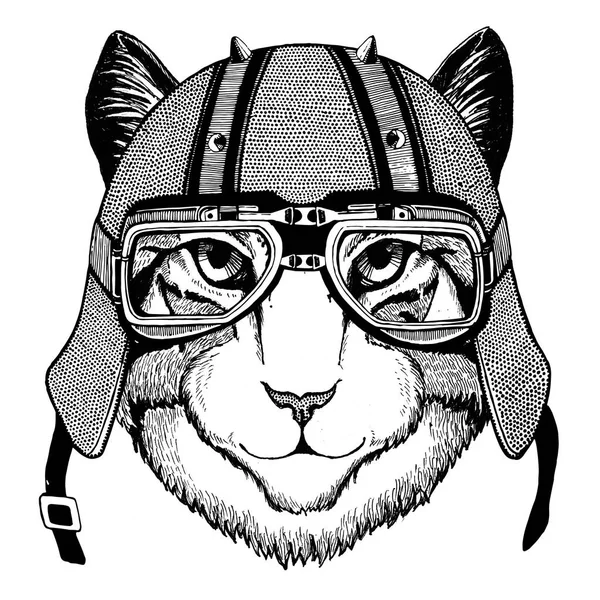 Yerli kedi motorcu hayvan ile motosiklet deri kask Vintage kask bisikletçileri Aviator kask için miğfer görüntüsünü