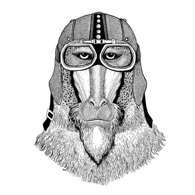 Yama maymun, maymun, köpek-maymun, maymun motosiklet, motorcu, havacı, dövme, t-shirt, amblem, rozet, logo, sinek kulübü illüstrasyon