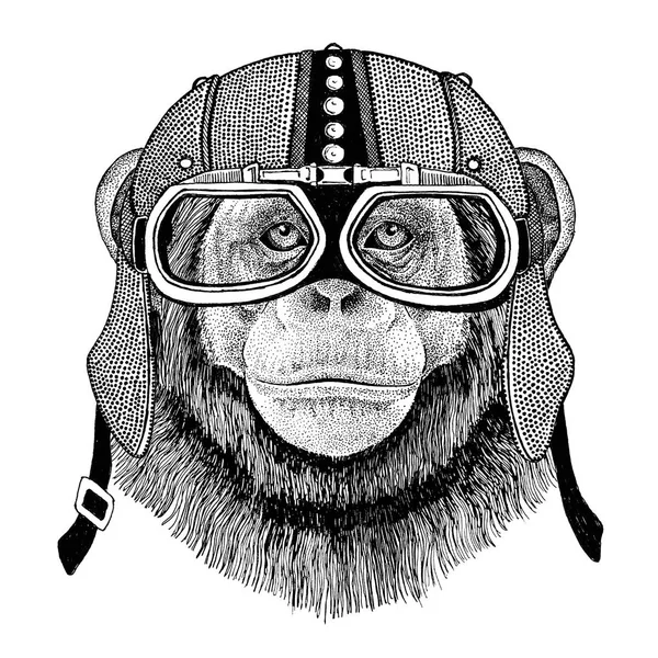 Chimpancé mono motocicleta, motociclista, aviador, club de la mosca Ilustración para tatuaje, camiseta, emblema, insignia, logotipo, parche —  Fotos de Stock