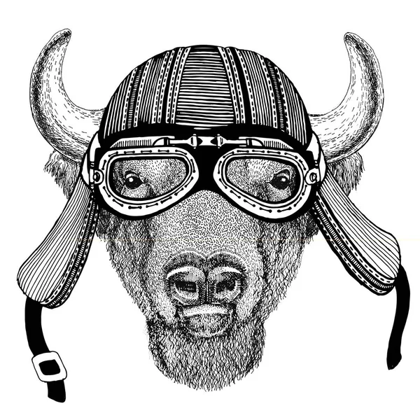 Búfalo, bisonte, buey, toro Animal salvaje con casco de motociclista aviador de moscas Ilustración para tatuaje, emblema, insignia, logotipo, parche —  Fotos de Stock