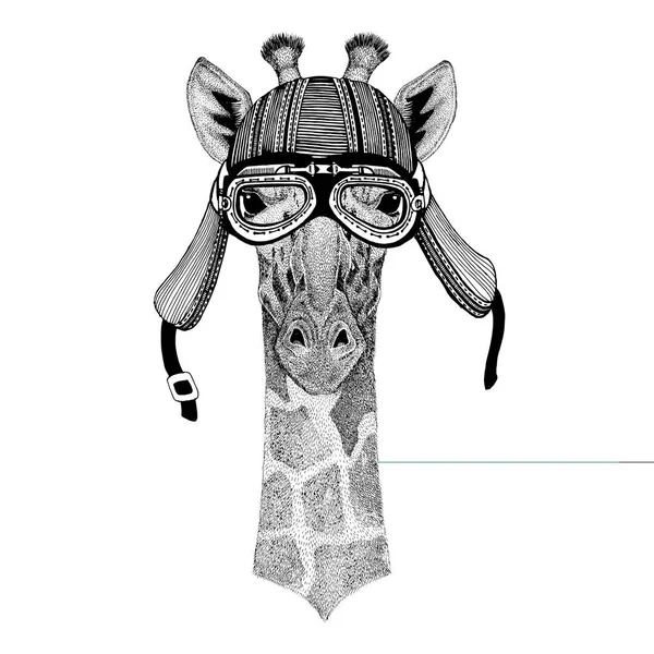 Camélope, girafe Animal sauvage portant le casque de club de mouche d'aviateur de moto de motard Illustration pour tatouage, emblème, insigne, logo, patch — Photo