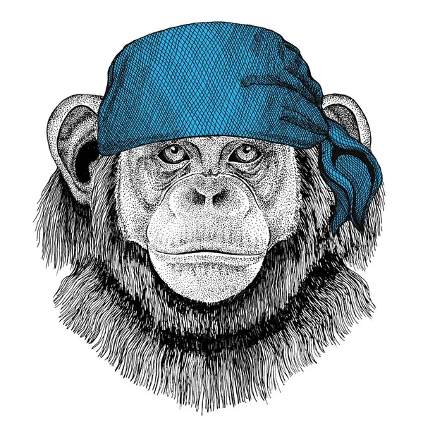 Chimpansee aap wilde dieren dragen bandana of bandana of bandana afbeelding voor Pirate zeeman Sailor Biker Motorcycle — Stockfoto