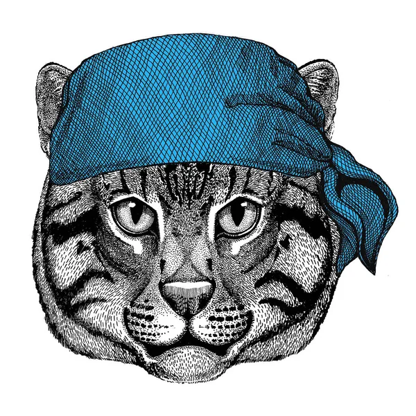 Wild cat Fishing cat Wild animal wearing bandana or kerchief or bandanna Image for Pirate Seaman Sailor Biker Motorcycle — Stock Photo, Image