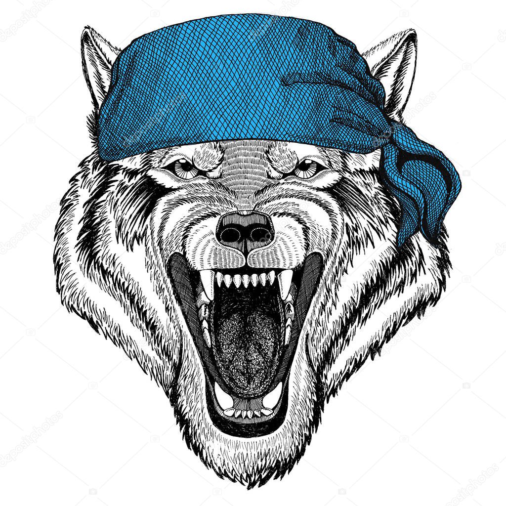 Wild animal wearing bandana or kerchief or bandanna Image for Pirate Seaman Sailor Biker Motorcycle