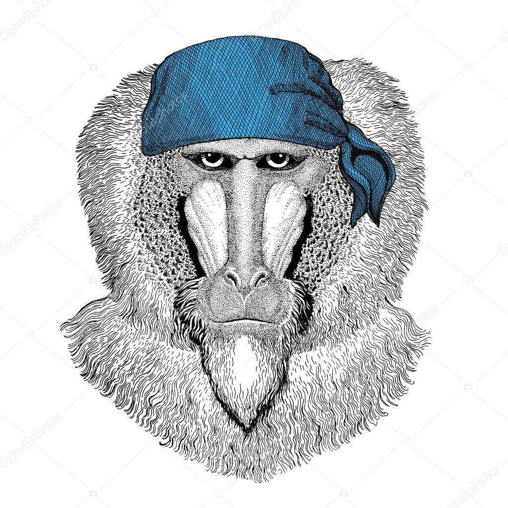 Wild animal wearing bandana or kerchief or bandanna Image for Pirate Seaman Sailor Biker Motorcycle