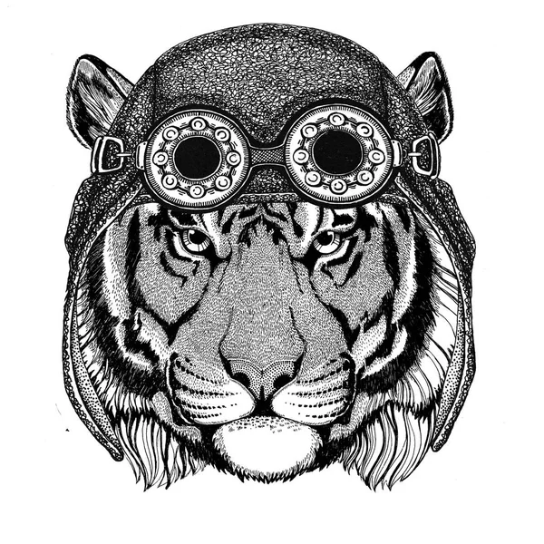 Cappello selvaggio tigre indossando aviatore Cappello moto con occhiali per motociclista Illustrazione per moto o aviatore t-shirt con animale selvatico — Vettoriale Stock