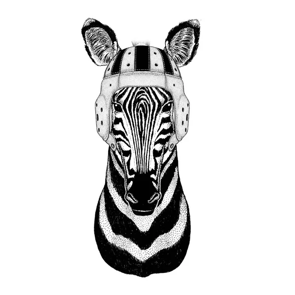 Zebra noszenie hełm rugby Sport ilustracja koni dzikich zwierząt — Wektor stockowy