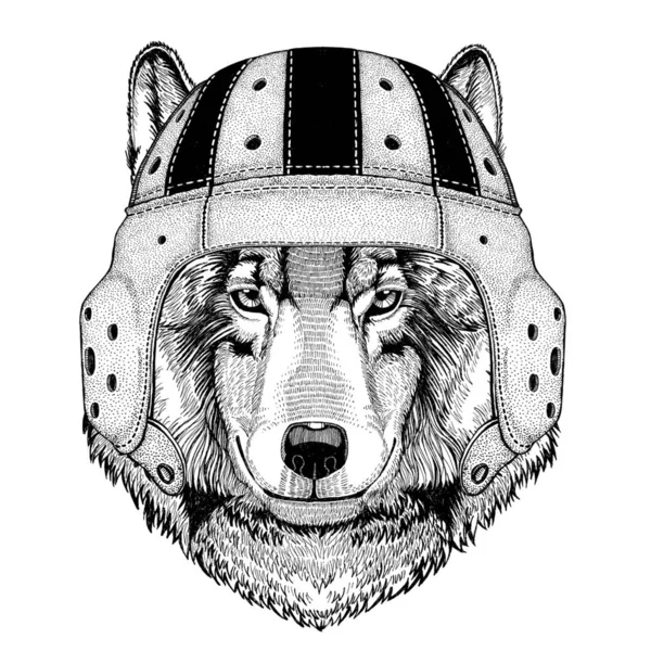 Wolf Dog Animal salvaje con casco de rugby Ilustración deportiva — Archivo Imágenes Vectoriales