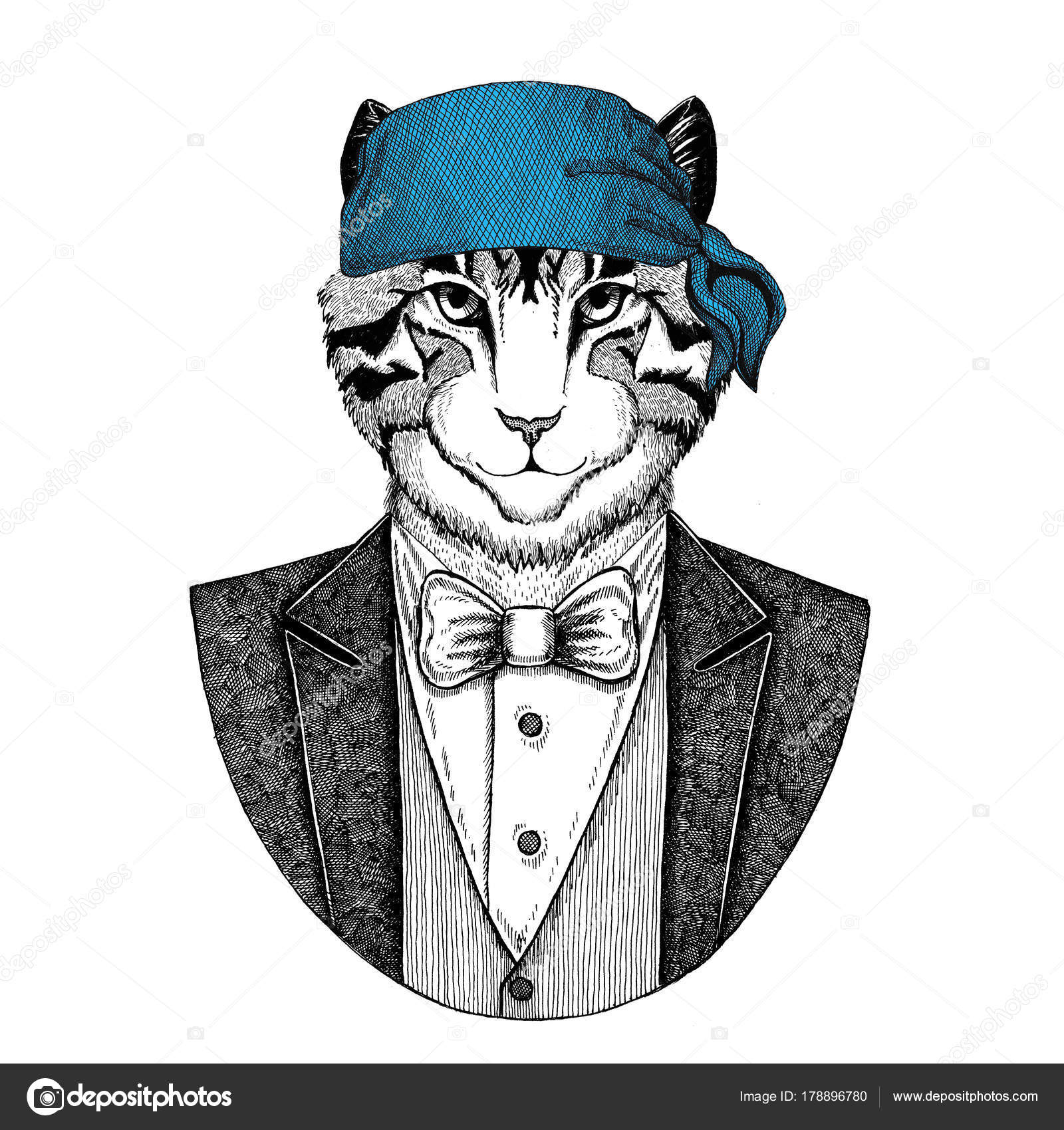 Cat bear Stock Photos, Royalty Free Cat bear Images | Depositphotos Cat bear Stock Photos, Royalty Free Cat bear Images | Depositphotos
