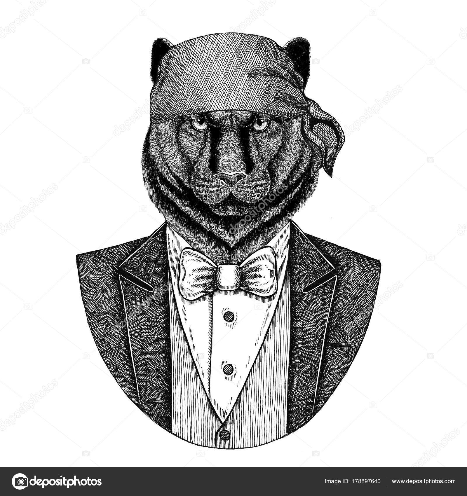 すごい パンサー 動物 すべての動物の絵 すごい パンサー 動物 すべての動物の絵