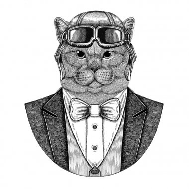 El Brithish asil kedi erkek hayvan giyen havacı kask ve papyon uçan kulüp ceketle dövme, t-shirt, amblem, logo, rozet, yama için çizilen illüstrasyon