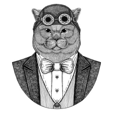 El Brithish asil kedi erkek hayvan giyen havacı kask ve papyon uçan kulüp ceketle dövme, t-shirt, amblem, logo, rozet, yama için çizilen illüstrasyon