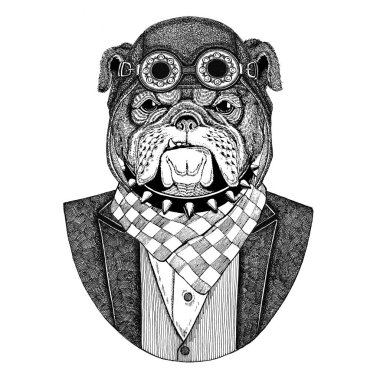 Bulldog köpek hayvan papyon uçan kulüp ile pilot kask ve ceket giyen el dövme, t-shirt, amblem, logo, rozet, yama için çizilen illüstrasyon