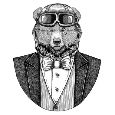 Kuzey Amerika boz ayısı büyük vahşi ayı hayvan giyen havacı kask ve papyon uçan kulüp ceketle dövme, t-shirt, amblem, logo, rozet, yama için çizilen illüstrasyon el