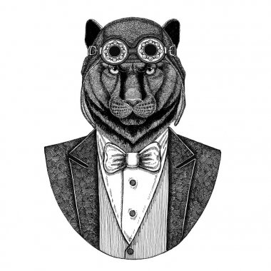 Panter Puma Cougar papyon uçan kulüp ile pilot kask ve ceket giyen hayvan el dövme, t-shirt, amblem, logo, rozet, yama için çizilen illüstrasyon