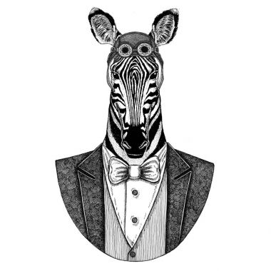 Zebra at hayvan papyon uçan kulüp ile pilot kask ve ceket giyen el dövme, t-shirt, amblem, logo, rozet, yama için çizilen illüstrasyon