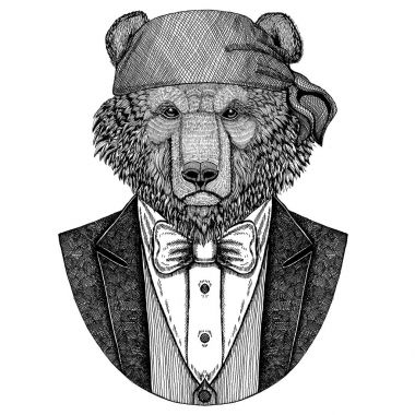 Yabani boz ayı vahşi motorcu, korsan hayvan giyen bandana el çizilmiş resim dövme, amblem, rozet, logo, yama, t-shirt için ayı