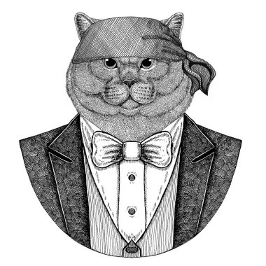 Brithish kedi vahşi motorcu, korsan hayvan giyen bandana el çizilmiş resim için dövme, amblem, rozet, logo, yama, t-shirt