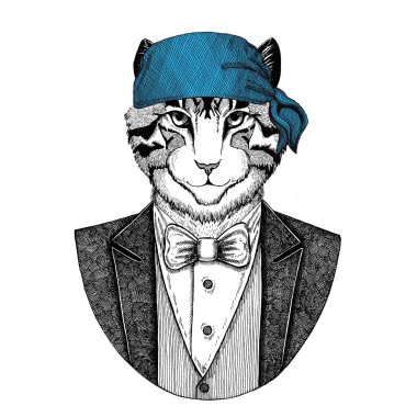 Kedi, yerli kedi ayı, Kuzey Amerika boz ayısı vahşi motorcu, bandana el çizilmiş resim için dövme, amblem, rozet, logo, yama, t-shirt giyen korsan hayvan